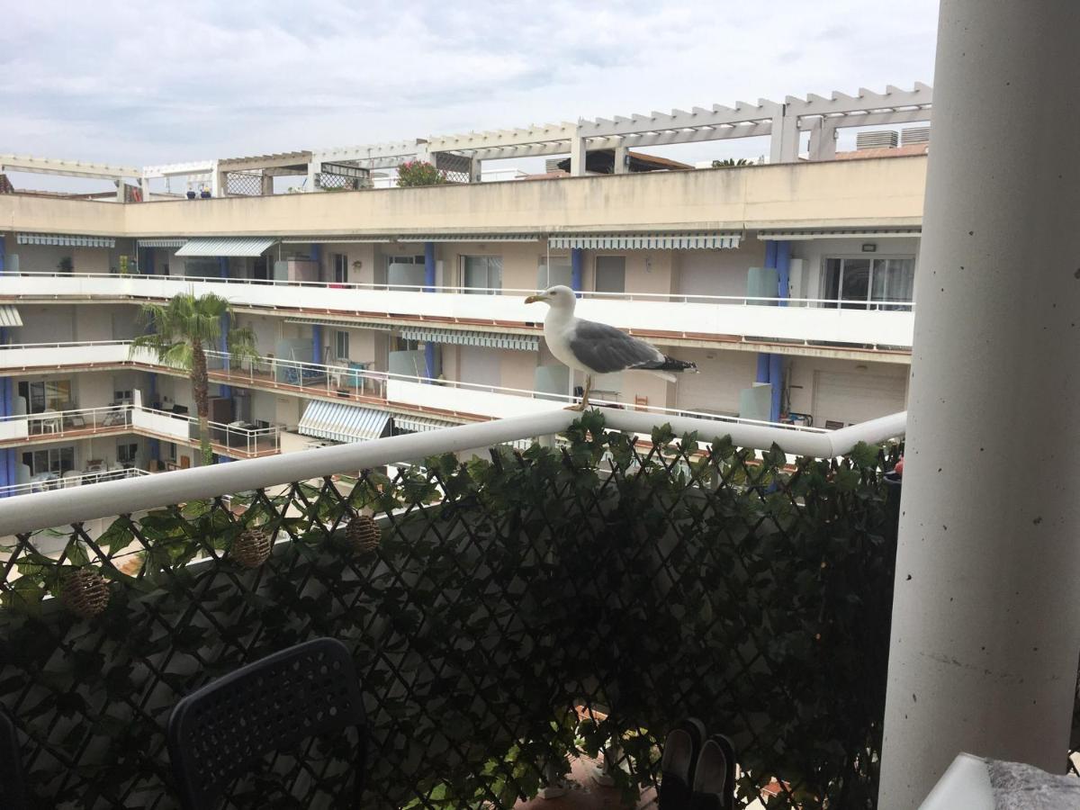 Superbe Appartement Avec Solarium Et Piscine Communautaire روساس المظهر الخارجي الصورة